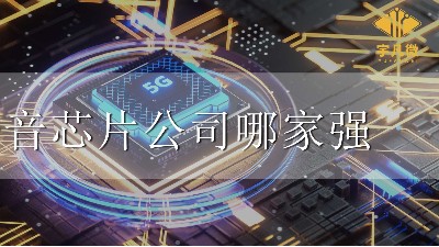 語音芯片公司哪家強？