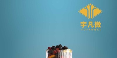 家用迷你果汁杯方案開發